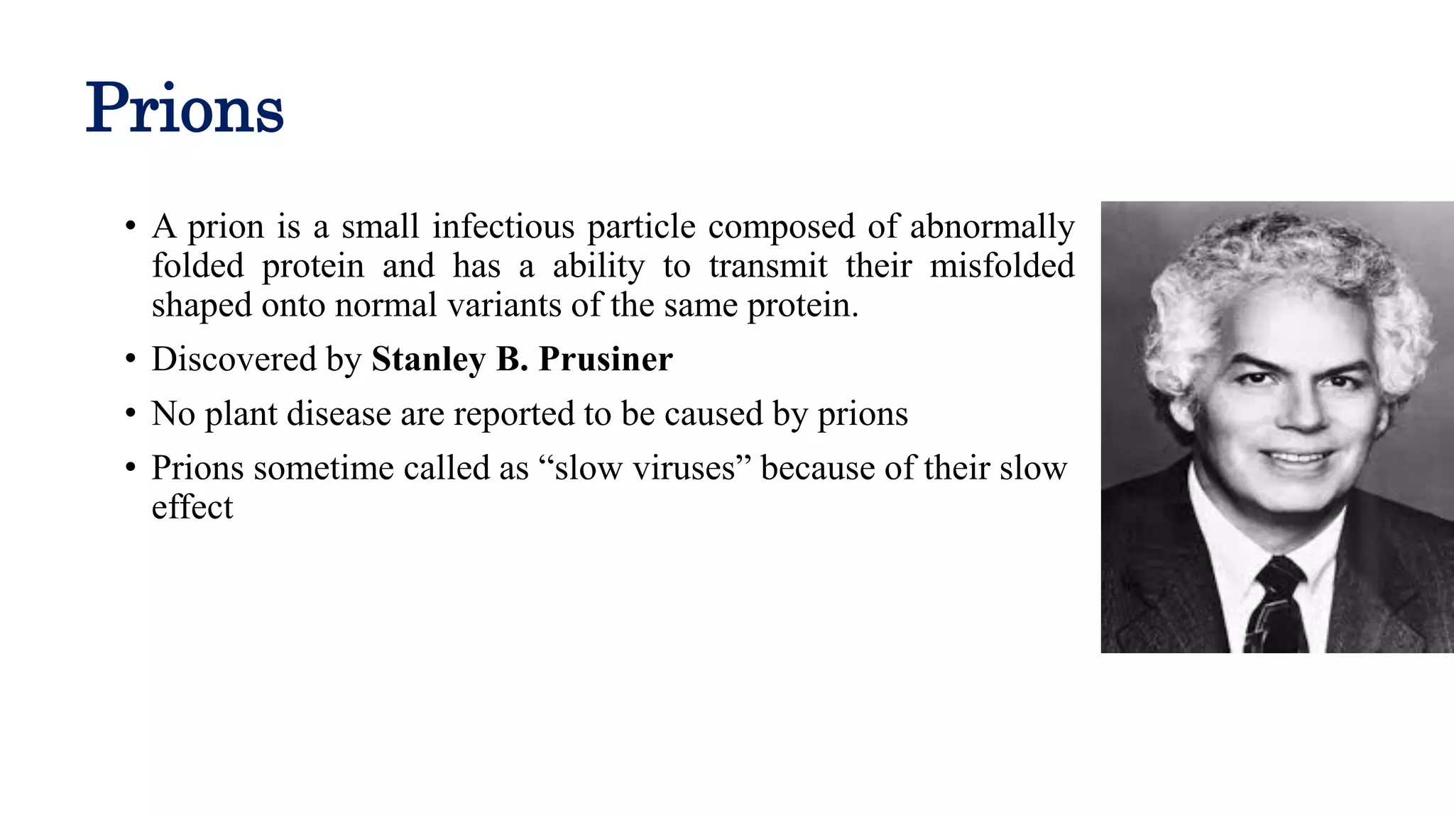 The Mystery of the 'Slow Virus'