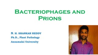 Bacteriophages and
Prions
N. H. SHANKAR REDDY
Ph.D., Plant Pathology
Annamalai University
 