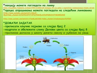 *лекцију можете погледати на линку
https://mojaskola.rtsplaneta.rs/show/1793116/606/os5-biologija-25-cas-polno-i-vegetativno-razmnozavanje-biljaka-obrada
*процес опрашивања можете погледати на следећим линковима
https://www.youtube.com/watch?v=GSczP-
MeshY&ab_channel=ZA%C5%A0TITAP%C4%8CELAI%C5%BDIVOTNESREDINE
https://www.youtube.com/watch?v=Y7qm8Lz6G1M&t=4s&ab_channel=IrinaDamnjanovi%C4%87
*ДОМАЋИ ЗАДАТАК
-преписати кључне појмове са слајда број 2
-нацртати и обележити слику Делови цвета са слајда број 8
-приликом доласка у школу донети свеску и уџбеник на увид
 