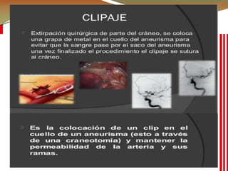 Enfermería
Pregrado
 