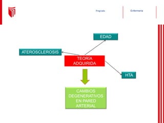 Enfermería
Pregrado
TEORÍA
ADQUIRIDA
EDAD
HTA
CAMBIOS
DEGENERATIVOS
EN PARED
ARTERIAL
ATEROSCLEROSIS
 