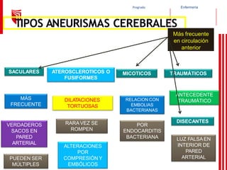 Enfermería
Pregrado
TIPOS ANEURISMAS CEREBRALES
SACULARES ATEROSCLEROTICOS O
FUSIFORMES
MICOTICOS TRAUMÁTICOS
MÁS
FRECUENTE
VERDADEROS
SACOS EN
PARED
ARTERIAL
PUEDEN SER
MÚLTIPLES
DILATACIONES
TORTUOSAS
RARAVEZ SE
ROMPEN
ALTERACIONES
POR
COMPRESIÓN Y
EMBÓLICOS
RELACION CON
EMBOLIAS
BACTERIANAS
POR
ENDOCARDITIS
BACTERIANA
ANTECEDENTE
TRAUMÁTICO
DISECANTES
LUZ FALSAEN
INTERIOR DE
PARED
ARTERIAL
Más frecuente
en circulación
anterior
 