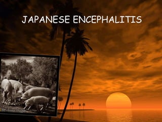 JAPANESE ENCEPHALITIS
 