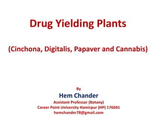 Drug Yielding Plants
(Cinchona, Digitalis, Papaver and Cannabis)
By
Hem Chander
Assistant Professor (Botany)
Career Point University Hamirpur (HP) 176041
hemchander78@gmail.com
 