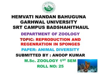 HEMVATI NANDAN BAHUGUNA
GARHWAL UNIVERSITY
SRT CAMPUS BADSHAHITHAUL
DEPARTMENT OF ZOOLOGY
TOPIC: REPRODUCTION AND
REGENRATION IN SPONGES
PAPER: ANIMAL DIVERSITY
SUBMITTED BY : ANOOP KUMAR
M.Sc. ZOOLOGY 1ST SEM
ROLL NO: 25
 