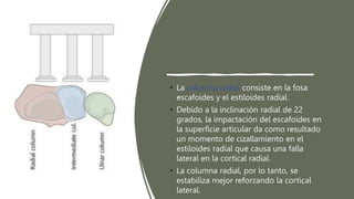 25.04.24 FRACTURAS RADIO DISTAL fractura de muñeca | PPTX