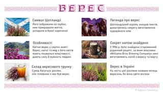 © Адріана Химинець
На честь цієї рослини названо місяць
вересень, бо вона цвіте восени
Верес в Україні
У 1986 р. було знайдено старовинний
родинний рецепт, за яким власники
«Williams Bros Brewing Company» нині
виготовляють напій з вересу та мирту
Секрет напою знайдено
Шотландський король знищив пиктів,
домагаючись секрету виготовлення
чудодійного елю
Легенда про верес
Суміш багатьох рослин,
але головною з них був верес.
Склад вересового трунку
Особливості
Квітне верес у серпні-жовті
Верес, напої та мед з його квітів
мають лікувальні властивості,
дають силу й мужність людині
Його зображали на гербах,
ним прикрашали житла,
укладали в букет нареченої
Символ Шотландії
 