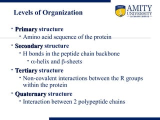Protein Overview 25.Overview and Introduction to Protein Structure.ppt