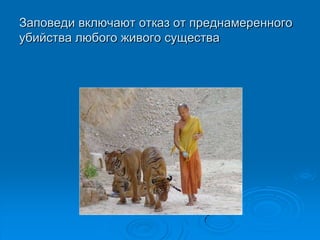Заповеди включают отказ от преднамеренного
убийства любого живого существа
 