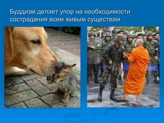 Буддизм делает упор на необходимости
сострадания всем живым существам
 