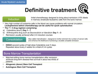 Comprehensive Overview of Leukemia and Lymphoma in Children: Diagnosis ...