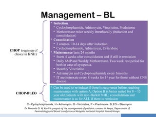 Comprehensive Overview of Leukemia and Lymphoma in Children: Diagnosis ...