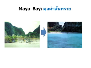 Maya Bay: มูลค่าสันทราย
 