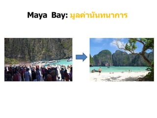 Maya Bay: มูลค่านันทนาการ
 