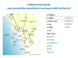 ทรัพยากรทางทะเล
อุทยานแห่งชาติหาดนพรัตน์ธาราและหมูเกาะพีพี จังหวัดกระบี่
เกาะพีพีดอน
เกาะพีพีเล
เกาะปิด๊ะ (หินคู่)
เกาะยูง
เกาะไม้ไผ่
เกาะไก่
หมู่เกาะปอดะ
ทะเลแหวก
หาดอ่าวนาง
หาดนพรัตน์ธารา
หาดไร่เล
ถ้าไวกิ้ง
ถ้าพระนาง
อ่าวมาหยา
อ่าวโล๊ะซะมะ
อ่าวต้นไทร
อ่าวปิเละ
 