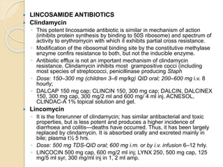  LINCOSAMIDE ANTIBIOTICS
 Clindamycin
◦ This potent lincosamide antibiotic is similar in mechanism of action
(inhibits protein synthesis by binding to 50S ribosome) and spectrum of
activity to erythromycin with which it exhibits partial cross resistance.
◦ Modification of the ribosomal binding site by the constitutive methylase
enzyme confirs resistance to both, but not the inducible enzyme.
◦ Antibiotic efflux is not an important mechanism of clindamycin
resistance. Clindamycin inhibits most grampositive cocci (including
most species of streptococci, penicillinase producing Staph
◦ Dose: 150–300 mg (children 3–6 mg/kg) QID oral; 200–600 mg i.v. 8
hourly;
◦ DALCAP 150 mg cap; CLINCIN 150, 300 mg cap; DALCIN, DALCINEX
150, 300 mg cap, 300 mg/2 ml and 600 mg/ 4 ml inj. ACNESOL,
CLINDAC-A 1% topical solution and gel.
 Lincomycin
◦ It is the forerunner of clindamycin; has similar antibacterial and toxic
properties, but is less potent and produces a higher incidence of
diarrhoea and colitis—deaths have occurred. Thus, it has been largely
replaced by clindamycin. It is absorbed orally and excreted mainly in
bile; plasma t½ 5 hrs.
◦ Dose: 500 mg TDS-QID oral; 600 mg i.m. or by i.v. infusion 6–12 hrly.
◦ LINCOCIN 500 mg cap, 600 mg/2 ml inj; LYNX 250, 500 mg cap, 125
mg/5 ml syr, 300 mg/ml inj in 1, 2 ml amp.
 