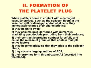 II. FORMATION OF THE PLATELET PLUG When platelets come in contact with a damaged vascular surface, such as the collagen fibers in the vascular wall or damaged endothelial cells, they immediately change their characteristics: 1) they begin to swell; 2) they assume irregular forms with numerous irradiating pseudopods protruding from their surfaces; 3) their contractile proteins contract forcefully and cause the release of granules that contain multiple active factors; 4) they become sticky so that they stick to the collagen fibers; 5) they secrete large quantities of ADP; 6) their enzymes form thromboxane A2 (secreted into the blood).  