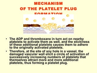 MECHANISM OF THE PLATELET PLUG FORMATION The ADP and thromboxane in turn act on nearby platelets to activate them as well, and the stickiness of these additional platelets causes them to adhere to the originally activated platelets. Therefore, at the site of any hole in a vessel, the damaged vascular wall elicit a circle of activation of successively increasing numbers of platelets that themselves attract more and more additional platelets, thus forming a platelet plug. 