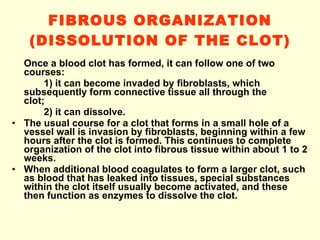 FIBROUS ORGANIZATION (DISSOLUTION OF THE CLOT)‏ Once a blood clot has formed, it can follow one of two courses:  1) it can become invaded by fibroblasts, which  subsequently form connective tissue all through the  clot ; 2) it can dissolve.  The usual course for a clot that forms in a small hole of a vessel wall is invasion by fibroblasts, beginning within a few hours after the clot is formed. This continues to complete organization of the clot into fibrous tissue within about 1 to 2 weeks. When additional blood coagulates to form a larger clot, such as blood that has leaked into tissues, special substances within the clot itself usually become activated, and these then function as enzymes to dissolve the clot. 