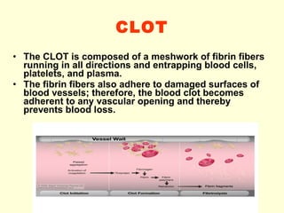 CLOT The CLOT is composed of a meshwork of fibrin fibers running in all directions and entrapping blood cells, platelets, and plasma. The fibrin fibers also adhere to damaged surfaces of blood vessels; therefore, the blood clot becomes adherent to any vascular opening and thereby prevents blood loss. 