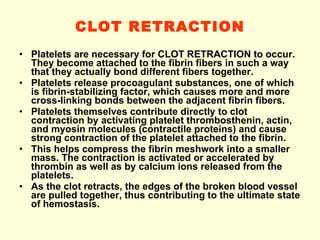 CLOT RETRACTION Platelets are necessary for CLOT RETRACTION to occur. They become attached to the fibrin fibers in such a way that they actually bond different fibers together. Platelets release procoagulant substances, one of which is fibrin-stabilizing factor, which causes more and more cross-linking bonds between the adjacent fibrin fibers. Platelets themselves contribute directly to clot contraction by activating platelet thrombosthenin, actin, and myosin molecules (contractile proteins) and cause strong contraction of the platelet attached to the fibrin. This helps compress the fibrin meshwork into a smaller mass. The contraction is activated or accelerated by thrombin as well as by calcium ions released from the platelets. As the clot retracts, the edges of the broken blood vessel are pulled together, thus contributing to the ultimate state of hemostasis. 