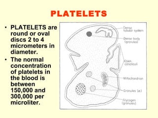PLATELETS PLATELETS are round or oval discs 2 to 4 micrometers in diameter. The normal concentration of platelets in the blood is between 150,000 and 300,000 per microliter. 