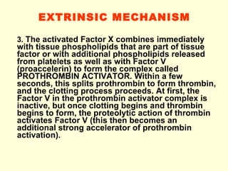 EXTRINSIC MECHANISM 3.  The activated Factor X combines immediately with tissue phospholipids that are part of tissue factor or with additional phospholipids released from platelets as well as with Factor V (proaccelerin) to form the complex called PROTHROMBIN ACTIVATOR .  Within a few seconds, this splits prothrombin to form thrombin, and the clotting process proceeds. At first, the Factor V in the prothrombin activator complex is inactive, but once clotting begins and thrombin begins to form, the proteolytic action of thrombin activates Factor V (this then becomes an additional strong accelerator of prothrombin activation). 