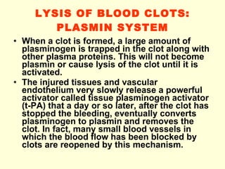 LYSIS OF BLOOD CLOTS: PLASMIN SYSTEM When a clot is formed, a large amount of plasminogen is trapped in the clot along with other plasma proteins. This will not become plasmin or cause lysis of the clot until it is activated.  The injured tissues and vascular endothelium very slowly release a powerful activator called tissue plasminogen activator (t-PA) that a day or so later, after the clot has stopped the bleeding, eventually converts plasminogen to plasmin and removes the clot. In fact, many small blood vessels in which the blood flow has been blocked by clots are reopened by this mechanism. 