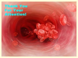 Thank You For Your Attention! 