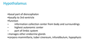 25-endokrinni-system thyroid gland 25pdf | PDF