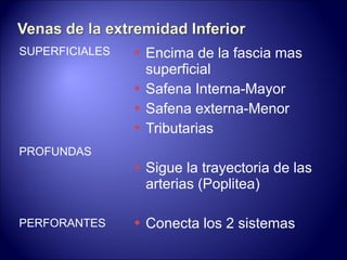 SUPERFICIALES PROFUNDAS PERFORANTES Encima de la fascia mas superficial Safena Interna-Mayor Safena externa-Menor Tributarias Sigue la trayectoria de las arterias (Poplitea) Conecta los 2 sistemas 