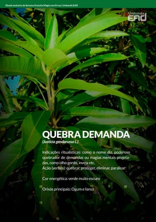 QUEBRADEMANDA
(Justícia gendarussa L.)
Indicações ritualísticas: como o nome diz, poderoso
quebrador de demandas ou magias mentais projeta-
das, como olho gordo, inveja etc.
Ação (verbos): quebrar, proteger, eliminar, paralisar
Cor energética: verde muito escuro
Orixás principais: Ogum e Iansã
Ebook exclusivo da Semana Gratuita Magia com Ervas | Umbanda EAD
 