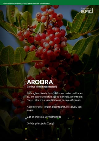 ANGICO
Indicações ritualísticas: limpador e protetor
Ação (verbos): limpar e proteger
Cor energética: vermelho
Orixás principais: Xangô
Ebook exclusivo da Semana Gratuita Magia com Ervas | Umbanda EAD
AROEIRA
(Schinus terebinthifolia Raddi)
Indicações ritualísticas: altíssimo poder de limpe-
za, em banhos e defumações e principalmente em
“bate-folhas” ou sacudimentos para purificação.
Ação (verbos): limpar, desintegrar, dissolver, con-
sumir
Cor energética: vermelho fogo
Orixás principais: Xangô
Ebook exclusivo da Semana Gratuita Magia com Ervas | Umbanda EAD
 
