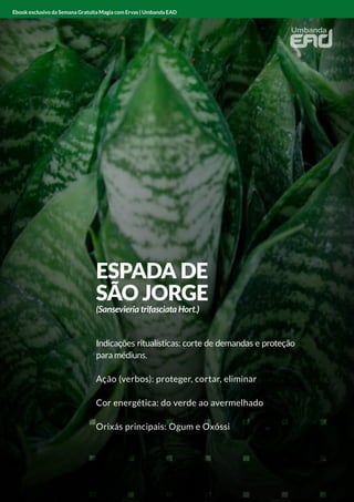 ANGICO
Indicações ritualísticas: limpador e protetor
Ação (verbos): limpar e proteger
Cor energética: vermelho
Orixás principais: Xangô
Ebook exclusivo da Semana Gratuita Magia com Ervas | Umbanda EAD
ESPADA DE
SÃO JORGE
(Sansevieria trifasciata Hort.)
Indicações ritualísticas: corte de demandas e proteção
para médiuns.
Ação (verbos): proteger, cortar, eliminar
Cor energética: do verde ao avermelhado
Orixás principais: Ogum e Oxóssi
Ebook exclusivo da Semana Gratuita Magia com Ervas | Umbanda EAD
 