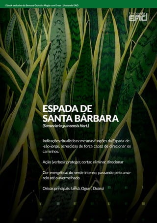 ANGICO
Indicações ritualísticas: limpador e protetor
Ação (verbos): limpar e proteger
Cor energética: vermelho
Orixás principais: Xangô
Ebook exclusivo da Semana Gratuita Magia com Ervas | Umbanda EAD
ESPADA DE
SANTA BÁRBARA
(Sansevieria guineensis Hort.)
Indicaçõesritualísticas:mesmasfunçõesdaEspada-de-
-são-jorge, acrescidas de força capaz de direcionar os
caminhos.
Ação (verbos): proteger, cortar, eliminar, direcionar
Cor energética: do verde intenso, passando pelo ama-
relo até o avermelhado
Orixás principais: Iansã, Ogum, Oxóssi
Ebook exclusivo da Semana Gratuita Magia com Ervas | Umbanda EAD
 