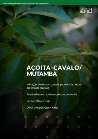 ANGICO
Indicações ritualísticas: limpador e protetor
Ação (verbos): limpar e proteger
Cor energética: vermelho
Orixás principais: Xangô
Ebook exclusivo da Semana Gratuita Magia com Ervas | Umbanda EAD
AÇOITA-CAVALO/
MUTAMBA
Indicações ritualísticas: cortador poderoso de deman-
das e magias negativas
Ação (verbos): cortar, eliminar, destruir, desmontar
Cor energética: terroso
Orixás principais: Ogum, Xangô
Ebook exclusivo da Semana Gratuita Magia com Ervas | Umbanda EAD
 