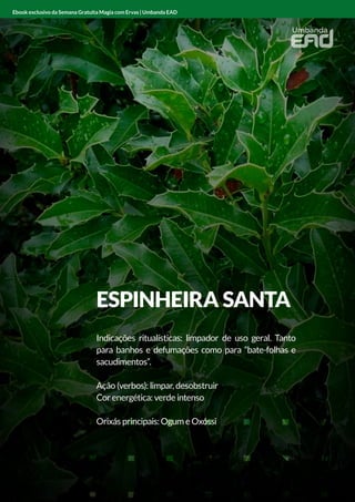 ANGICO
Indicações ritualísticas: limpador e protetor
Ação (verbos): limpar e proteger
Cor energética: vermelho
Orixás principais: Xangô
Ebook exclusivo da Semana Gratuita Magia com Ervas | Umbanda EAD
ESPINHEIRA SANTA
Indicações ritualísticas: limpador de uso geral. Tanto
para banhos e defumações como para “bate-folhas e
sacudimentos”.
Ação (verbos): limpar, desobstruir
Cor energética: verde intenso
Orixás principais: Ogum e Oxóssi
Ebook exclusivo da Semana Gratuita Magia com Ervas | Umbanda EAD
 