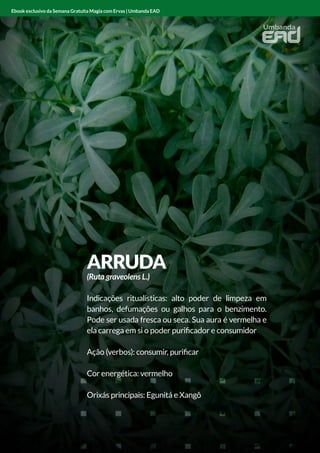 ARRUDA
(Ruta graveolens L.)
Indicações ritualísticas: alto poder de limpeza em
banhos, defumações ou galhos para o benzimento.
Pode ser usada fresca ou seca. Sua aura é vermelha e
ela carrega em si o poder purificador e consumidor
Ação (verbos): consumir, purificar
Cor energética: vermelho
Orixás principais: Egunitá e Xangô
Ebook exclusivo da Semana Gratuita Magia com Ervas | Umbanda EAD
 