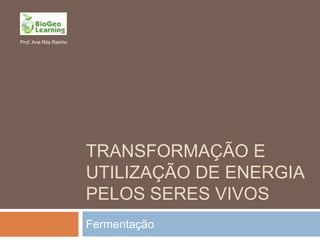 Prof. Ana Rita Rainho




                        TRANSFORMAÇÃO E
                        UTILIZAÇÃO DE ENERGIA
                        PELOS SERES VIVOS
                        Fermentação
 