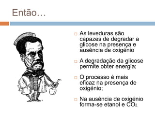 Então…

            As leveduras são
             capazes de degradar a
             glicose na presença e
             ausência de oxigénio
            A degradação da glicose
             permite obter energia;
            O processo é mais
             eficaz na presença de
             oxigénio;
            Na ausência de oxigénio
             forma-se etanol e CO2.
 