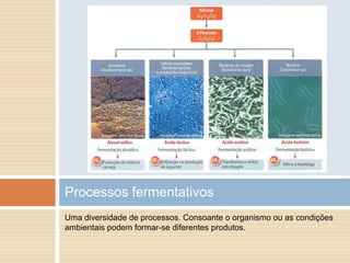 Processos fermentativos
Uma diversidade de processos. Consoante o organismo ou as condições
ambientais podem formar-se diferentes produtos.
 