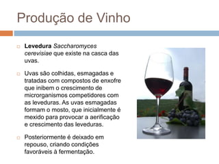 Produção de Vinho
   Levedura Saccharomyces
    cerevisiae que existe na casca das
    uvas.

   Uvas são colhidas, esmagadas e
    tratadas com compostos de enxofre
    que inibem o crescimento de
    microrganismos competidores com
    as leveduras. As uvas esmagadas
    formam o mosto, que inicialmente é
    mexido para provocar a aerificação
    e crescimento das leveduras.

   Posteriormente é deixado em
    repouso, criando condições
    favoráveis à fermentação.
 