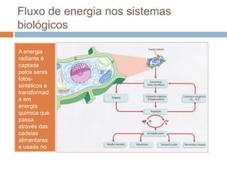 Fluxo de energia nos sistemas
biológicos

A energia
radiante é
captada
pelos seres
fotos-
sintéticos e
transformad
a em
energia
química que
passa
através das
cadeias
alimentares
e usada no
metabolismo
celular
 