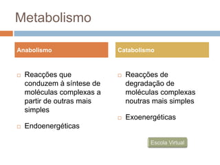 Metabolismo

Anabolismo                  Catabolismo



   Reacções que               Reacções de
    conduzem à síntese de       degradação de
    moléculas complexas a       moléculas complexas
    partir de outras mais       noutras mais simples
    simples
                               Exoenergéticas
   Endoenergéticas
 