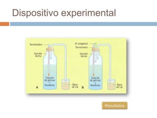 Dispositivo experimental
 