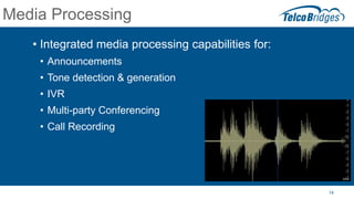 The Future of Media Gateways | PDF
