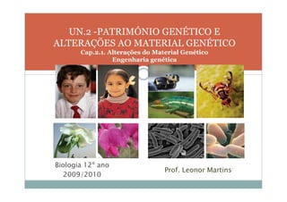 UN.2 -PATRIMÓNIO GENÉTICO E
ALTERAÇÕES AO MATERIAL GENÉTICO
       Cap.2.1. Alterações do Material Genético
                 Engenharia genética




Biologia 12º ano
                                 Prof. Leonor Martins
   2009/2010
 