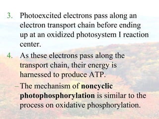 Photoexcitedelectrons pass along an electron transport chain before ending up at an oxidized photosystem I reaction center.As these electrons pass along the transport chain, their energy is harnessed to produce ATP.The mechanism of noncyclicphotophosphorylation is similar to the process on oxidative phosphorylation.