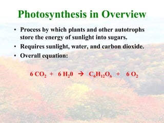 Photosynthesis in OverviewProcess by which plants and other autotrophs store the energy of sunlight into sugars.Requires sunlight, water, and carbon dioxide.Overall equation:6 CO2  +   6 H20      C6H12O6   +    6 O2