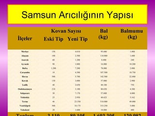 Samsun Arıcılığının Yapısı
İlçeler
Kovan Sayısı Bal
(kg)
Balmumu
(kg)Eski Tip Yeni Tip
Merkez 150 4.010 95.680 1.800
Alaçam 100 2.500 110.000 1.600
Asarcık 60 1.200 8.400 240
Ayvacık 90 1.000 16.000 10.200
Bafra 1.200 7.200 78.000 2.000
Çarşamba 18 4.300 107.500 10.750
Havza 500 5.700 142.500 22.800
Kavak 130 3.000 57.000 2.900
Ladik 40 2.650 48.100 750
Ondokuzmayıs 210 3.100 80.650 4.300
Salıpazarı 30 7.170 57.600 4.000
Tekkeköy 25 2.950 48.625 5.162
Terme 46 23.550 518.000 49.000
Vezirköprü 500 10.175 315.250 5.000
Yakakent 20 1.600 10.000 480
 